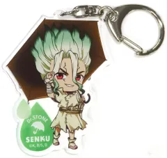 【中古】キーホルダー 石神千空(ミニキャラ) アクリルキーホルダー 「DMMスクラッチ! TVアニメ Dr.STONE レイニーデイ スクラッチ」 C-5賞