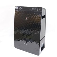 新品・未使用】Rinnai リンナイ ガスファンヒーター SRC-362E(A) LP