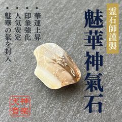 国産鉱物 珪化木 花巻市 希少！ - メルカリ