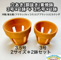 穴あき(胴抜き)素焼鉢- 2サイズ⇒2鉢セット: 3号×1鉢＋3.5号×1鉢 [長四角形穴] 洋蘭/着生蘭/胡蝶蘭/カトレア/フウラン/セッコク/ エアプランツ/ビカクシダ(コウモリラン) ※利用に差し支えのない欠け凸凹はご容赦ください＠フラワーショップ江口