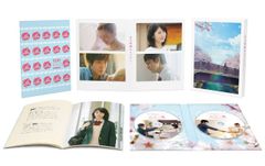 桜井玲香 コンプリートセット2026 - メルカリ