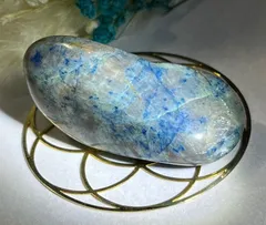 2025年最新】クォンタムクワトロシリカの人気アイテム - メルカリ