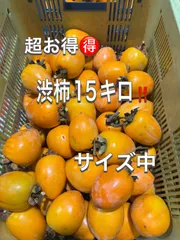📦 本日12月23日入荷‼️ 【超お得‼️ 愛媛県産 渋柿15kg】