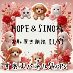 HOPE&SINO様