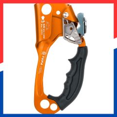 Item thumbnail for item 870d39f4-637b-4404-bb51-c7a99fa2feec