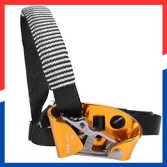 Item thumbnail for item f7429e33-9bf1-4575-a3cb-d8d148d52fb8