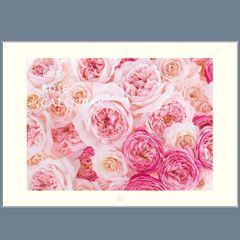 Item thumbnail for item 70c4fdad-4c1e-43f1-8565-2f880ea0cbb5