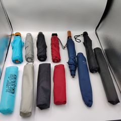 Item thumbnail for item 739b719f-d3cc-4ca5-9a0d-d2701b4070d8