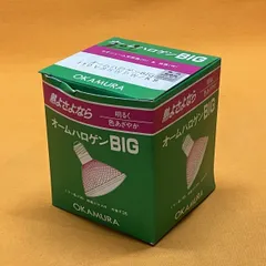オームハロゲンBIG 岡村電産 110V85WPW/K9