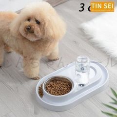 Item thumbnail for item 1995061f-5567-4031-816a-cbd1ad0b2937