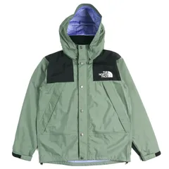極美品△THE NORTH FACE ザ・ノースフェイス NP12135 Mountain Raintex Jacket マウンテン レインテックス ジャケット GORE-TEX ロゴ フード付き アガベグリーン M 正規品 メンズ オススメ◎