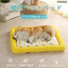 Item thumbnail for item d5112f5f-70f9-4012-b7e8-f93dce40fabd