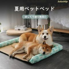 Item thumbnail for item 38186964-9ccc-463e-b2e5-a67e824fff86