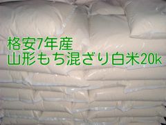 色選4回、リピーター続出】静岡県産餅米まんげつもち」白米（玄米変更
