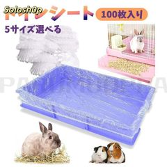 Item thumbnail for item eda86e80-23e2-4e30-a4d1-a424590deb8f