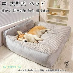 Item thumbnail for item 5c264c61-7f3d-4aaa-b236-a79ec7eb81a0