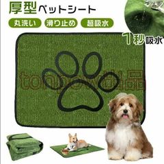 Item thumbnail for item 31791976-3bef-49a0-ab6e-9f42c665f842