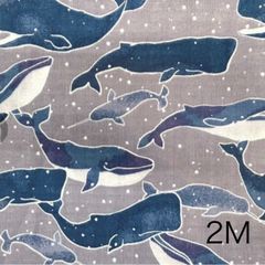 Item thumbnail for item 2819f489-77b8-459b-9db8-aa8df656fc38