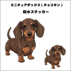 ST-186 ミニチュアダックス(チョコタン)の防水ステッカー  2枚セット