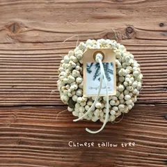 №23〖ナンキンハゼの小さなリース〗ドライフラワー　白　ホワイトインテリア　シャビーシック　クリスマス　お正月　飾り　ホワイト