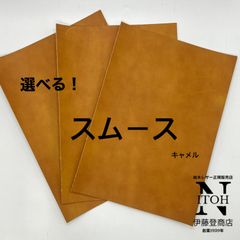 Item thumbnail for item 51969e0d-6691-42d2-8ca6-bc38c2b70e5e