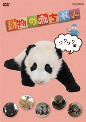 激レア パンダホ学習帳 小動物観察百科シリーズ 当時物 平成レトロ
