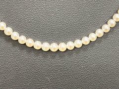 Item thumbnail for item 2867cd49-0d45-49ae-b0b1-6caa8492b2a5