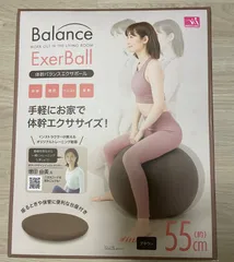 ニーズ 体幹バランスエクサボール ブラウン　ダイエット・健康グッズ エクササイズ用品
