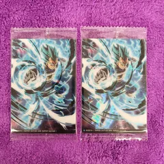 8-25超サイヤ人ゴッド超サイヤ人 ベジータ  2枚  ドラゴンボール　vol.8 イタジャガ 8　カード DRAGON BALL  最新