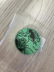 151コイン　海外限定　ポケモンカード リザードン　緑