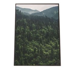 秋山花 「FOREST」 ポスター - メルカリ