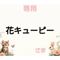 専用