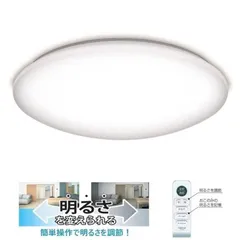 【新品未使用】【未開梱】瀧住 LED照明 シーリングライト 12畳 昼光色 リモコン付属 RB12920