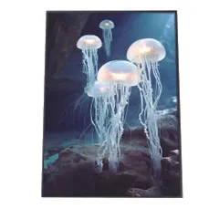 【B4サイズ(約25x36cm)】【lh-poster-2536】クラゲ ポスター シーサイド マリンスタイル ジェリーフィッシュ 水族館 水中 海 魚 インテリア