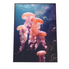 【B4サイズ(約25x36cm)】【lh-poster-2542】クラゲ ポスター シーサイド マリンスタイル ジェリーフィッシュ 水族館 水中 海 魚 インテリア