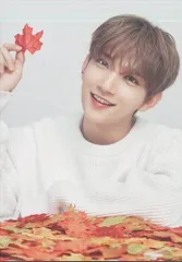 SEVENTEEN 2019 ODE to You IN JAPAN JOSHUA トレーディングカード 0068