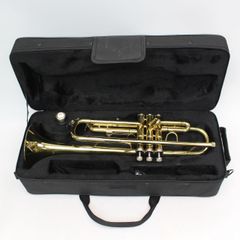 Item thumbnail for item e750d653-cf93-42da-97f5-529d0b6df5f2