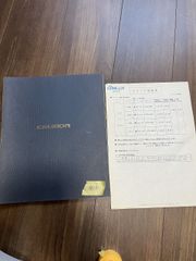 Item thumbnail for item eebe024b-8412-4873-be3e-78065f487a43