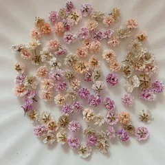 (04)かすみ草ドライフラワー100粒