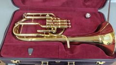 Item thumbnail for item 436df8c0-ef60-44d9-acf7-9e0d0d3ff664