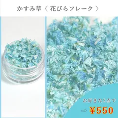 No.447 かすみ草　花びらフレーク　ドライフラワー