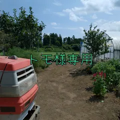 トモ様専用