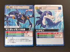 aca483 情報と感情 長門 RR ヴァイスシュヴァルツ - メルカリ