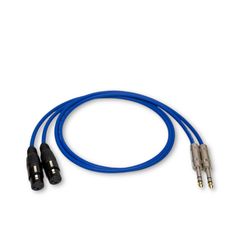 Item thumbnail for item 99e7c936-d364-43c0-b1c8-21ad92317c01