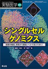 トーラーの名において シオニズムに対するユダヤ教の抵抗の歴史