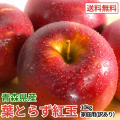 2026年最新】葉とらずりんごの人気アイテム - メルカリ