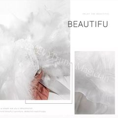 Item thumbnail for item d4851668-d67b-4c07-b9e6-d4cd767acbd4