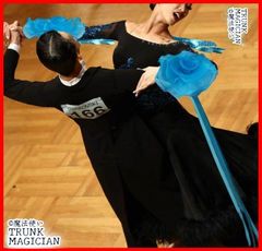 Item thumbnail for item 560dffb7-fd62-4cb2-92ac-1407d1306b05