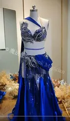 【新品未使用】ベリーダンス衣装 ブラスカート アクセサリー付 豪華 オーダーメイド CWF1205P124