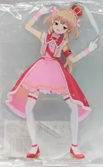 R*m様 名取さなフィギュア×２（箱無し） R*m様 名取さなフィギュア×2（箱無し） 名取さな さ